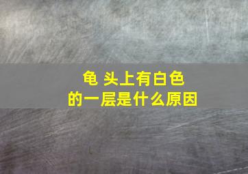 龟 头上有白色的一层是什么原因